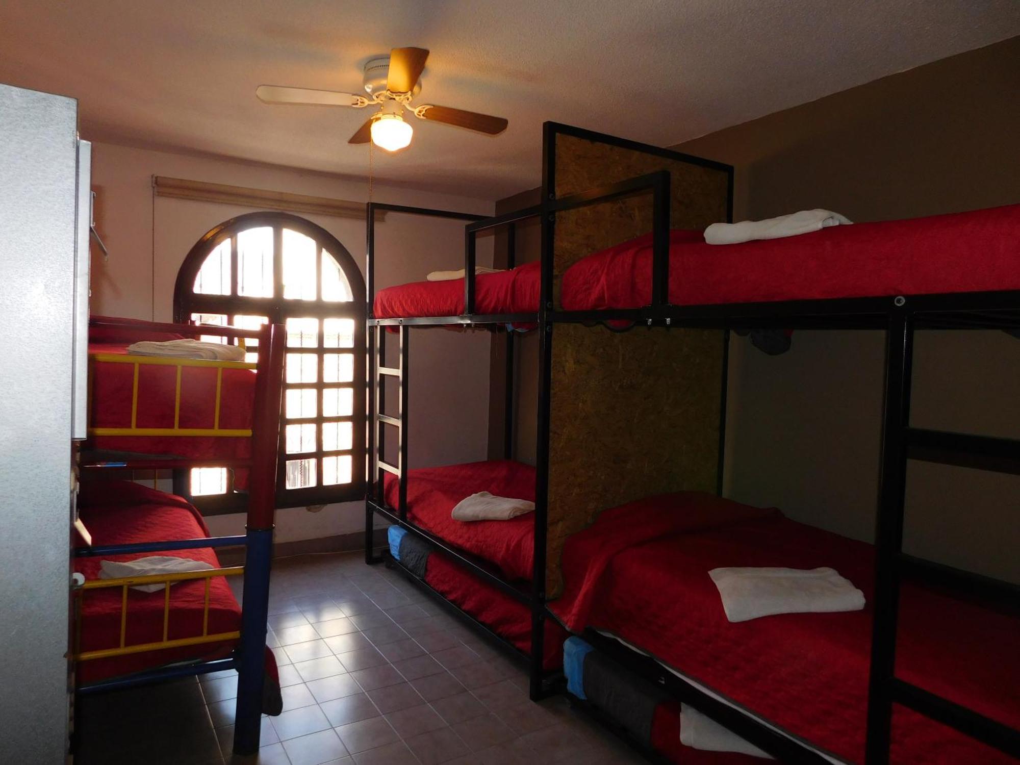 منزل الضيف ليون  في Casona Luciernaga-Casa De Huespedes المظهر الخارجي الصورة